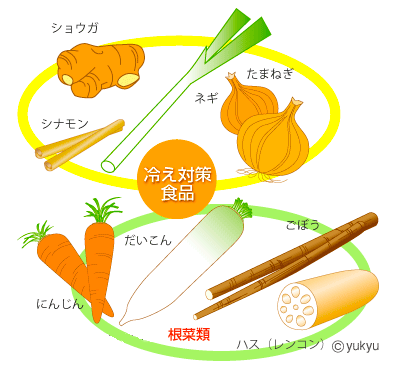 冷え対策の食品　生姜　ネギ　シナモン　根菜類